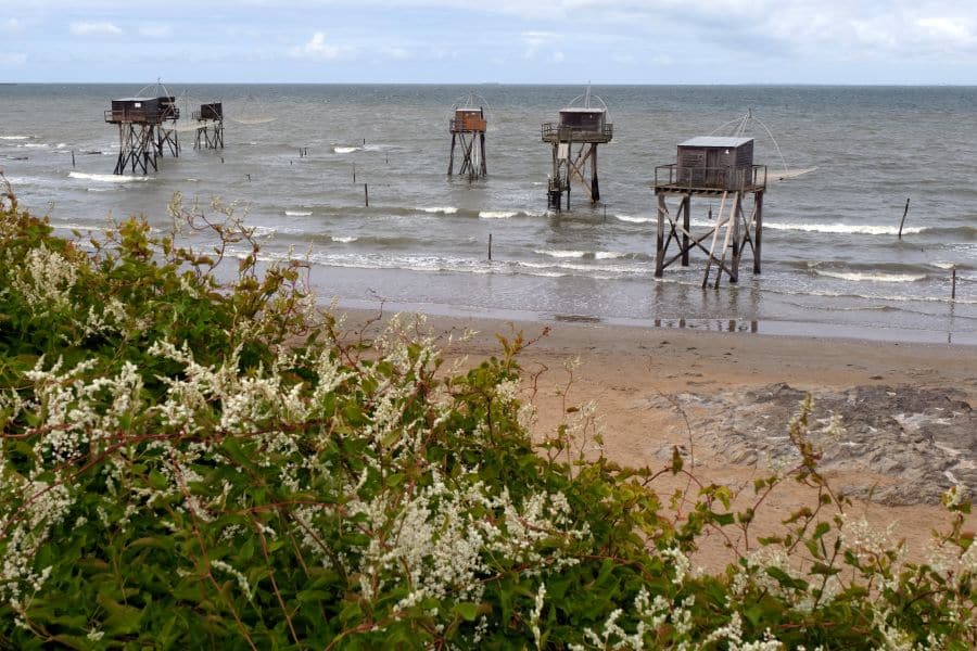 ADO carrelet tharon plage